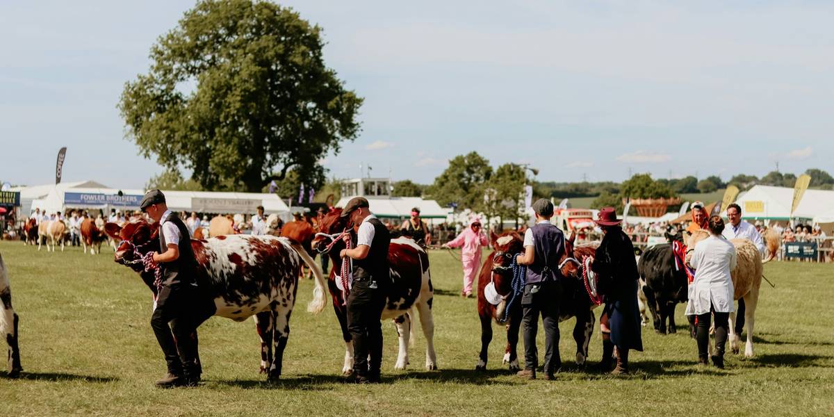 Community gathering — field day, where outreach returns